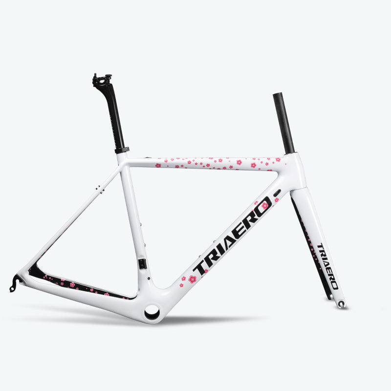 ICAN TRIAERO Lightweight A2 Rim Brake Carbon Frameset