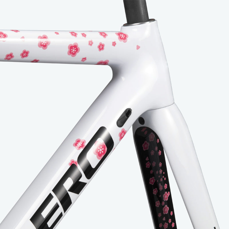 ICAN TRIAERO Lightweight A2 Rim Brake Carbon Frameset