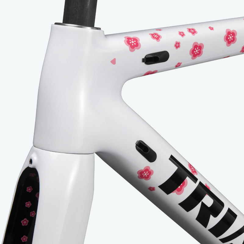 ICAN TRIAERO Lightweight A2 Rim Brake Carbon Frameset
