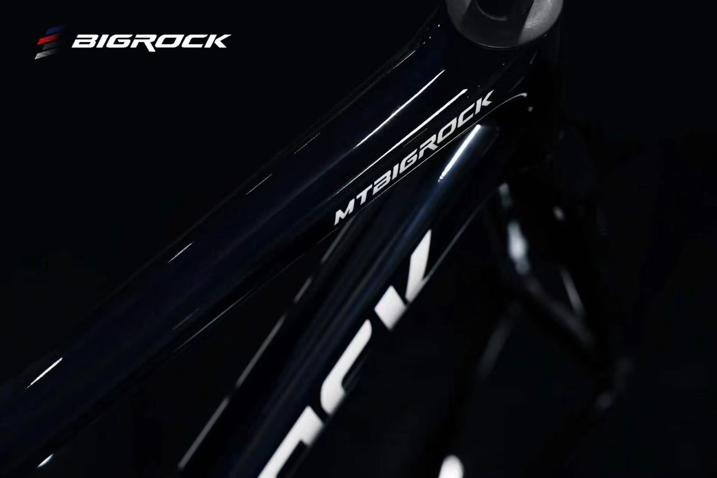 BIGROCK TEAM EDITION Carbon Road Bike Frameset