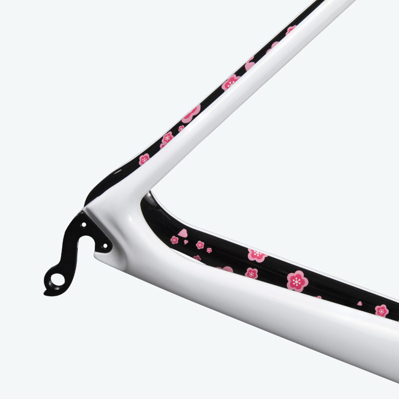 ICAN TRIAERO Lightweight A2 Rim Brake Carbon Frameset