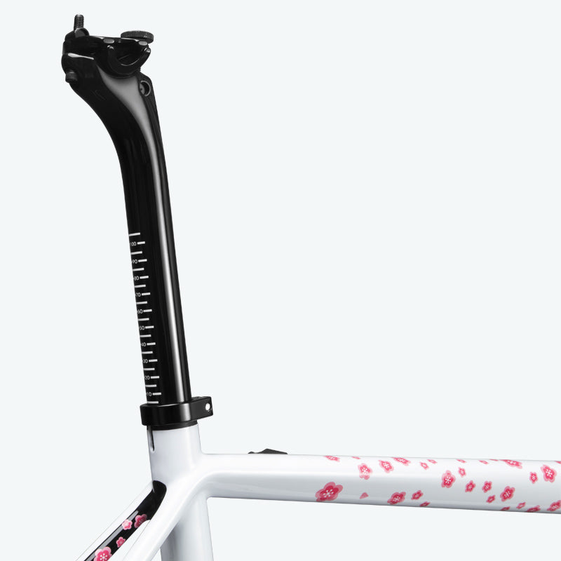 ICAN TRIAERO Lightweight A2 Rim Brake Carbon Frameset