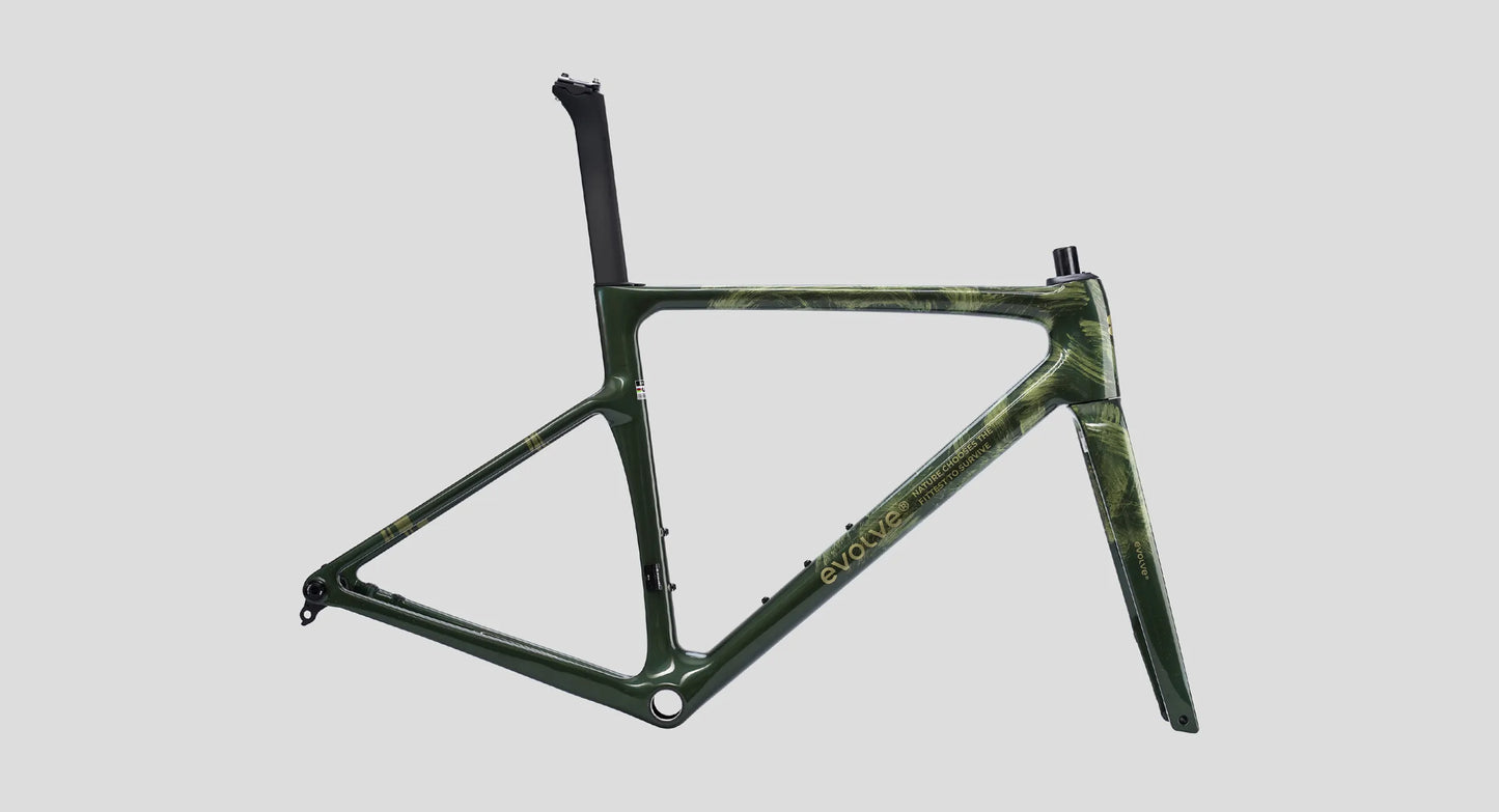 Evolve CIMA Frameset