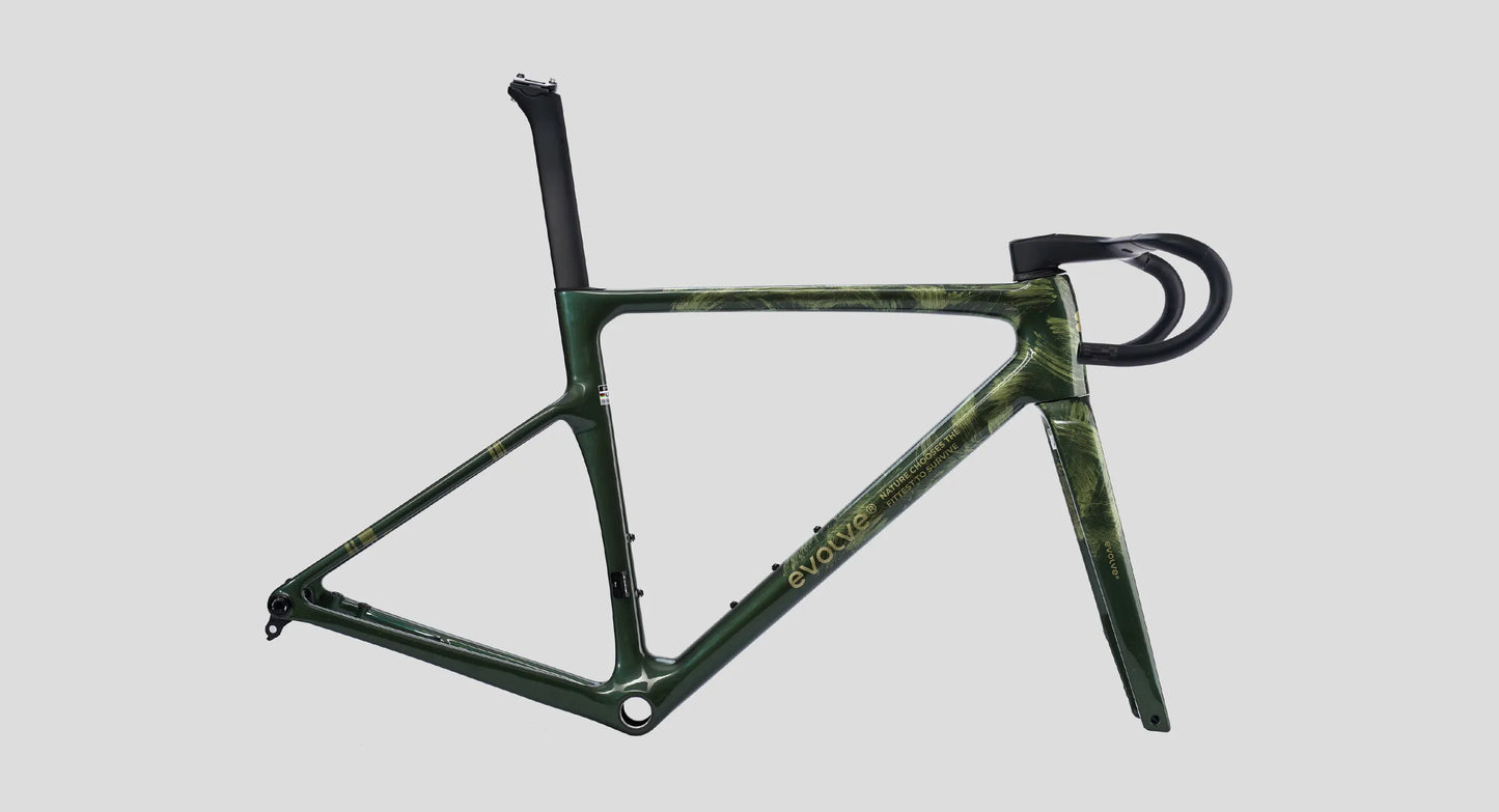 Evolve CIMA Frameset