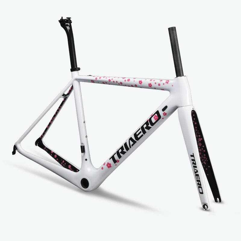 ICAN TRIAERO Lightweight A2 Rim Brake Carbon Frameset CycleGears