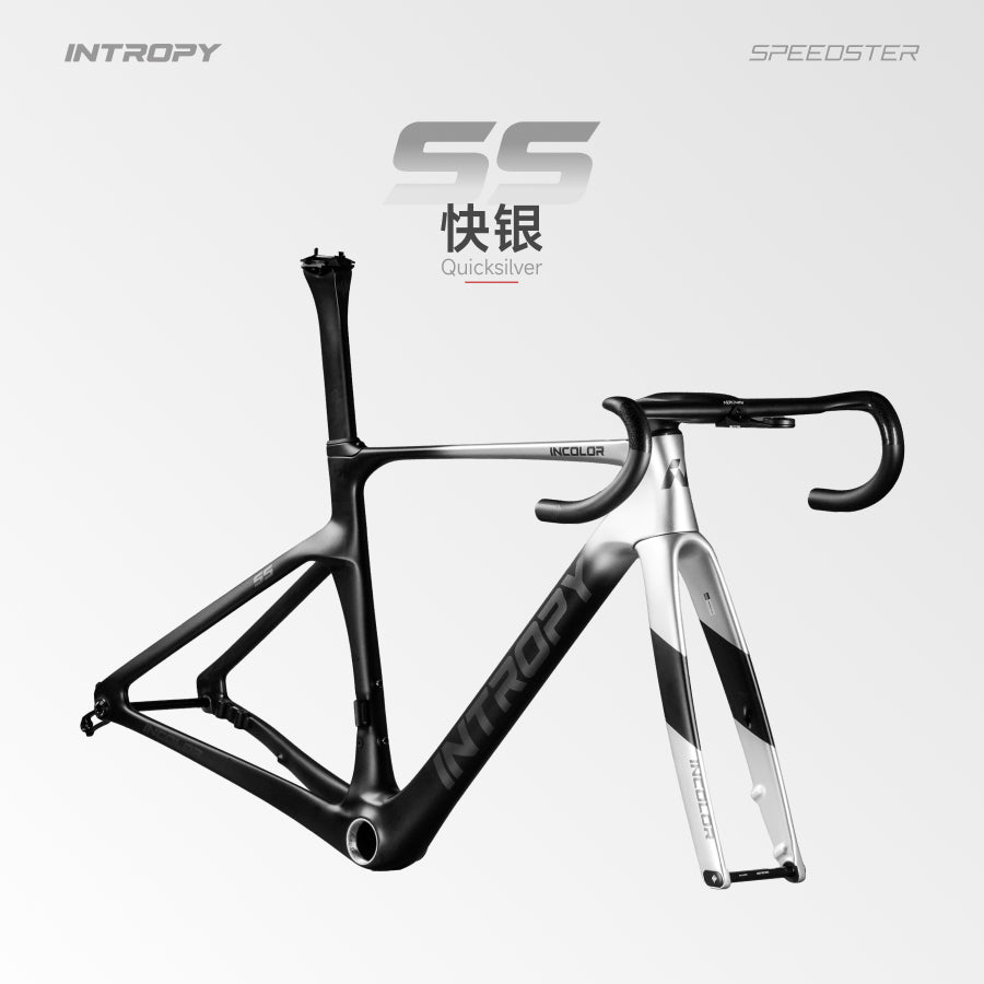 Incolor Intropy Speedster SS Frameset – CycleGears